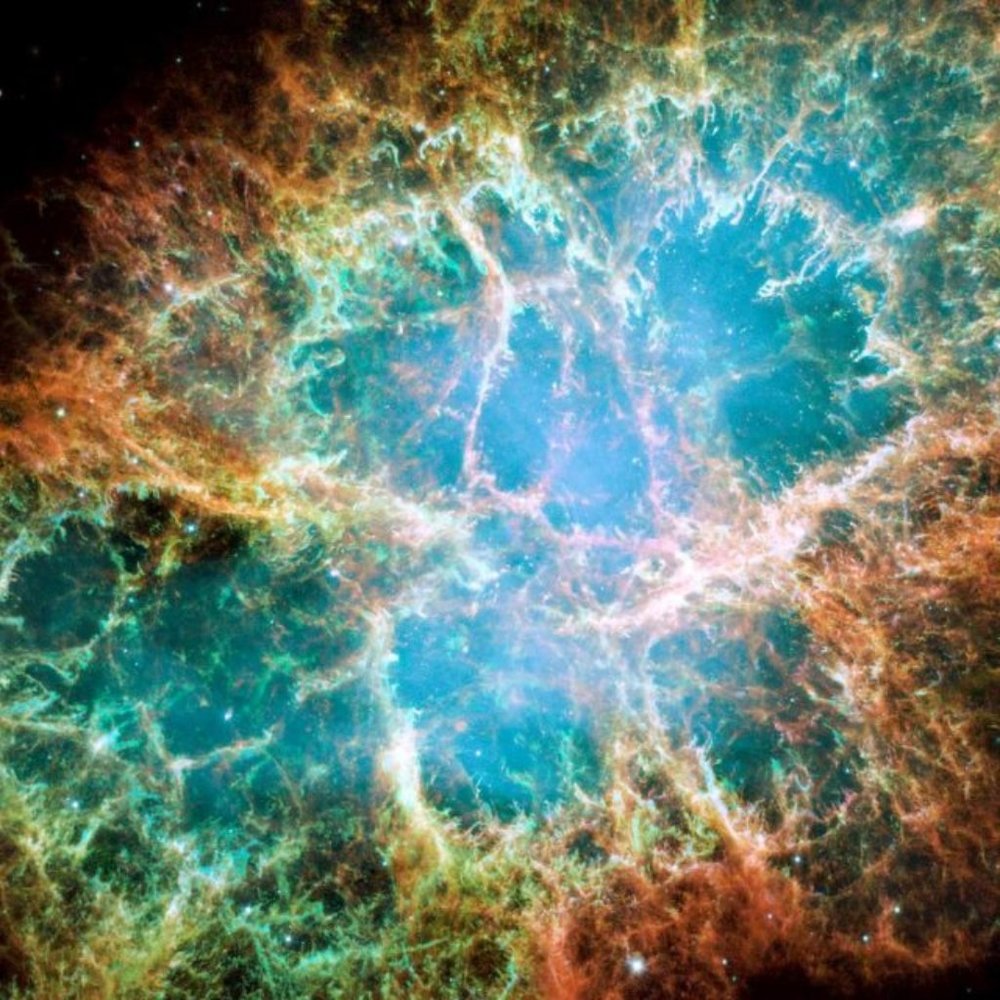 Meet your Posher, Sofien